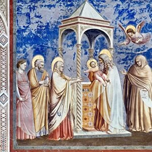 Artists Fine Art Print Collection: Giotto
