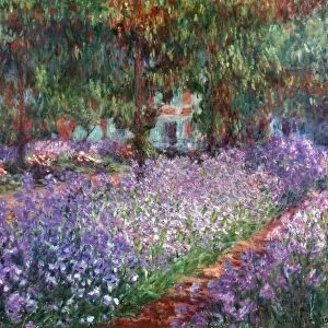 Artists Premium Framed Print Collection: Claude Monet