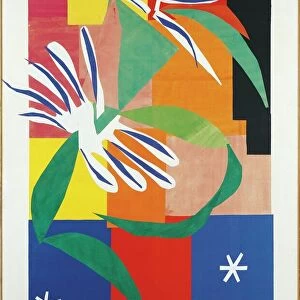 Art Prints Photographic Print Collection: Henri Matisse