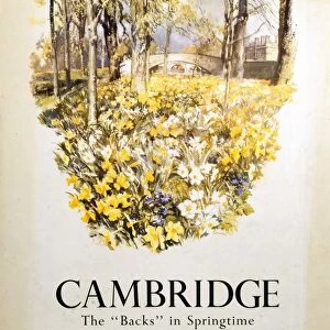 England Canvas Print Collection: Cambridgeshire