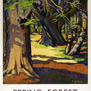 England Poster Print Collection: Essex