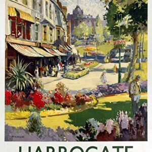 Yorkshire Fine Art Print Collection: Harrogate