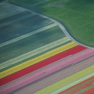 Netherlands Jigsaw Puzzle Collection: Aerial Views