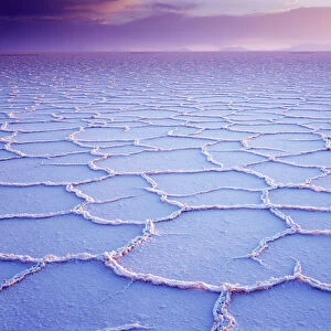 Salt Lake, Altiplano, Bolivia