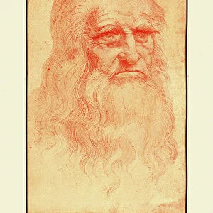 Artists Collection: Leonardo da Vinci