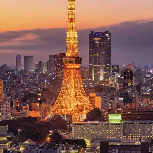 Towers Jigsaw Puzzle Collection: Tokyo Tower