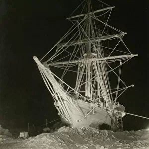 Popular Themes Photo Mug Collection: Antarctic Expedition