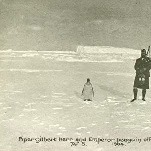Penguins Premium Framed Print Collection: Emperor