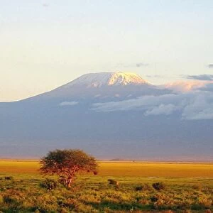 Tanzania Heritage Sites Premium Framed Print Collection: Kilimanjaro National Park