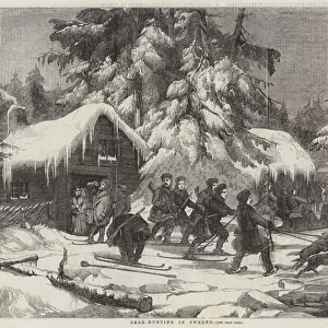 Bear-Hunting in Sweden (engraving)