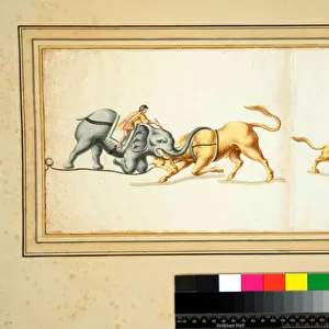 Copy of a mosaic of an Elephant fighting against a bull (black chalk