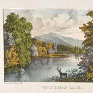 Lakes Metal Print Collection: Moosehead Lake