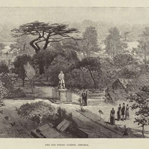 Sights Photographic Print Collection: Chelsea Physic Garden