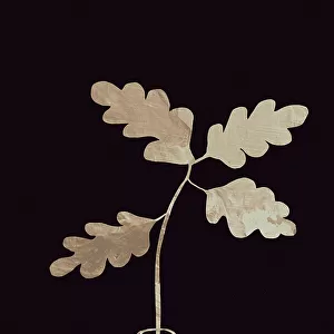 Leaves in vase_gold
