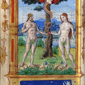 : Medieval Images