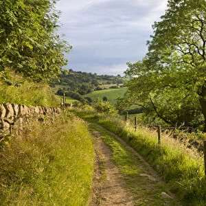 Derbyshire Jigsaw Puzzle Collection: Birchover