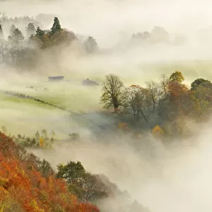 Popular Themes Jigsaw Puzzle Collection: Autumn