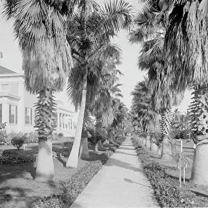 Florida Photographic Print Collection: Miami Gardens