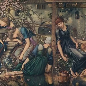 Edward Burne-Jones Collection: Fairy tale illustrations