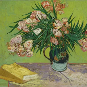 Artists Collection: Vincent van Gogh