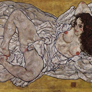 Egon Schiele Collection: Nude paintings