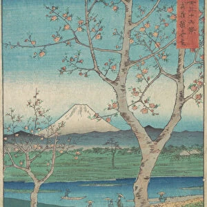 U Canvas Print Collection: Hiroshige Utagawa