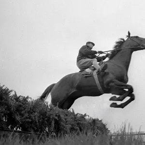 Arkle seen training for the 1966 Cheltenham Gold Cup - March 1966