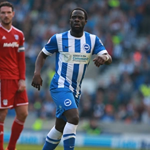 Brighton's Elvis Manu Scores on Home Debut vs. Cardiff City (03OCT15)