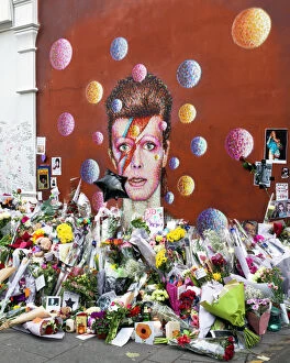 Music Pillow Collection: David Bowie mural, Brixton DP177779
