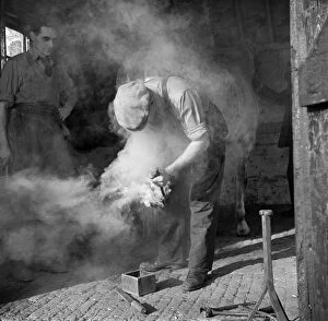 Hallam Ashley Collection (1931-1980) Canvas Print Collection: Farrier, Woodbastwick, Norfolk a98_13563