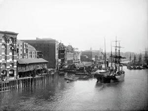 Tower Bridge Photographic Print Collection: Fish wharf at Billingsgate Market CC72_01834