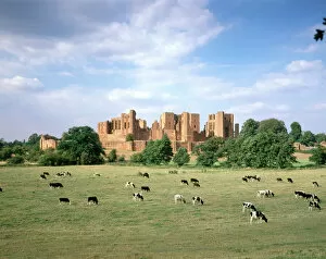 Cattle Collection: Kenilworth Castle J900445