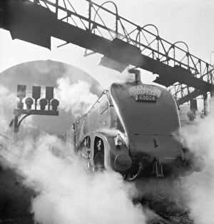 Related Images Fine Art Print Collection: Kingfisher steam train, Flying Scotsman service a062841