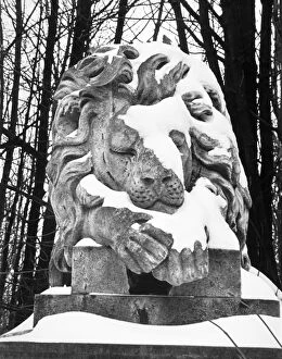 Sculptures Glass Coaster Collection: Lion statue, Highgate Cemetery OP04501