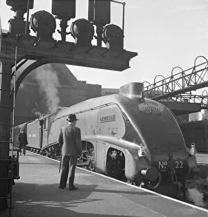 Photographers Photo Mug Collection: Mallard steam train, Flying Scotsman service a062835