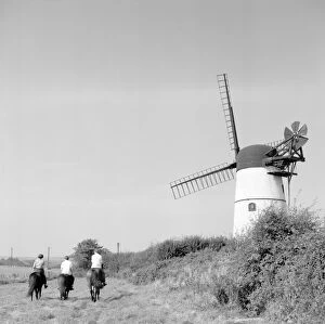 Brighton & Hove Pillow Collection: Patcham Windmill a98_05267