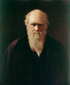 Related Images Poster Print Collection: Reilly - Charles Darwin J970164