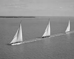 Sailing Collection: Racing Yachts