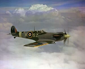 Grouper Fine Art Print Collection: Supermarine Spitfire V