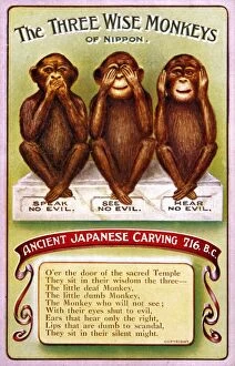 Asia Fine Art Print Collection: 3 Wise Monkeys / Japanese