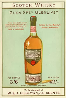 Label Collection: Advertisement, Gilbeys Scotch Whisky, Glen-Spey Glenlivet