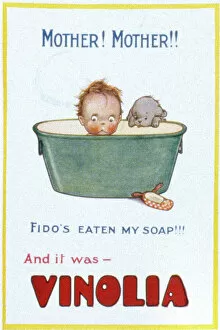 Children Framed Print Collection: Advertisement for Vinolia Soap