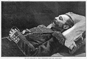 Russian tsars' palaces Jigsaw Puzzle Collection: ALEXANDER II DEAD