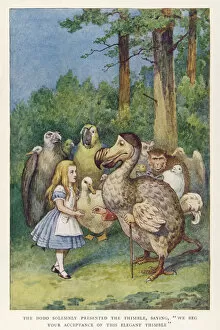 Solemn Collection: Alice and the Dodo