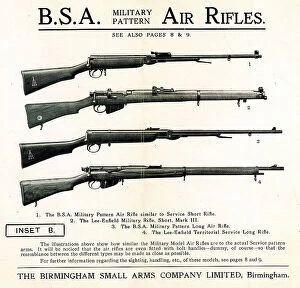 Pattern Collection: B. S. A. Military Pattern Air Rifles
