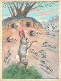 17 Sep 2018 Canvas Print Collection: Bunnies returning to the warren