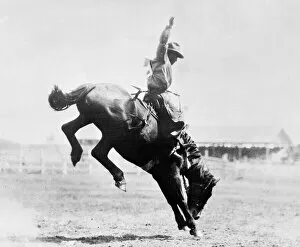 Canadian Collection: Canadian Rodeo