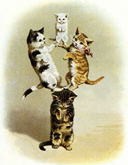 Balanced Collection: Cats Balancing on Cat Date: 1905