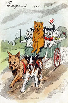 Wain Collection: Cats in a dog cart - Louis Wain