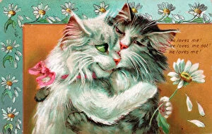 Hugging Collection: Two cats by Louis Wain on a romantic postcard